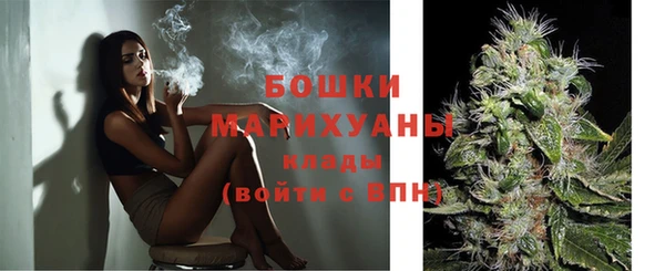 молекула духа Новозыбков