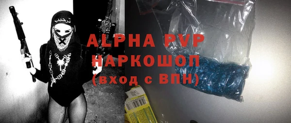 молекула духа Новозыбков