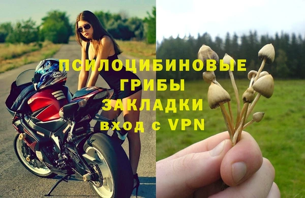 синтетический гашиш Новодвинск