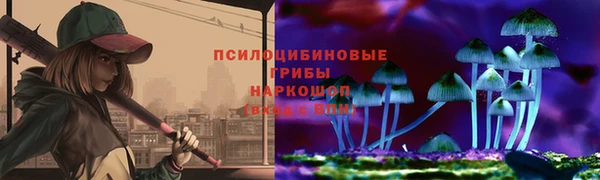 синтетический гашиш Новодвинск