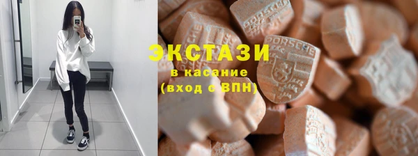 молекула духа Новозыбков