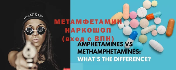 молекула духа Новозыбков