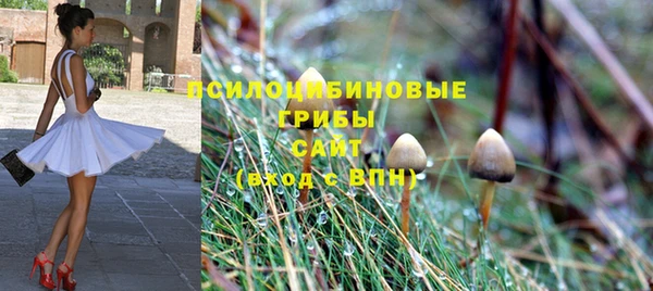 синтетический гашиш Новодвинск