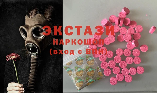молекула духа Новозыбков