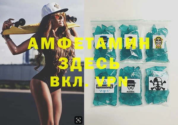 молекула духа Новозыбков
