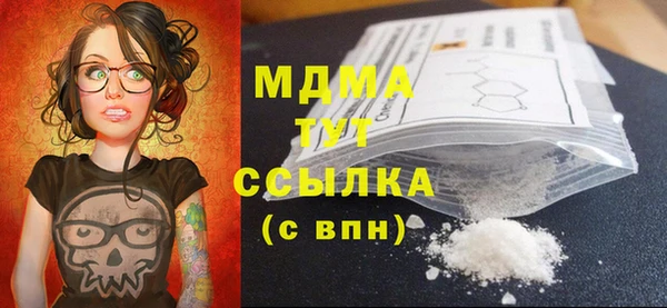 молекула духа Новозыбков