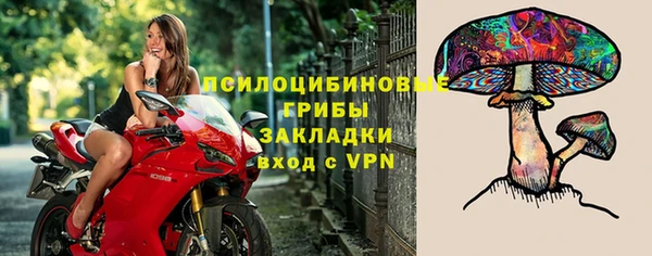 винт Новокубанск