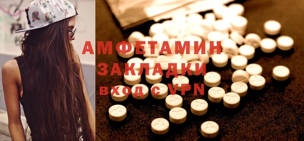 молекула духа Новозыбков
