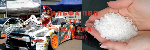 молекула духа Новозыбков