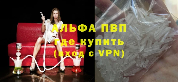 молекула духа Новозыбков